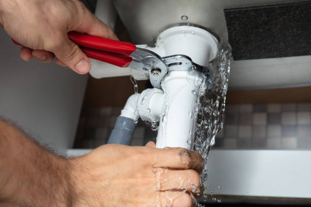 Best Water damage contractors near me  in Callahan, FL