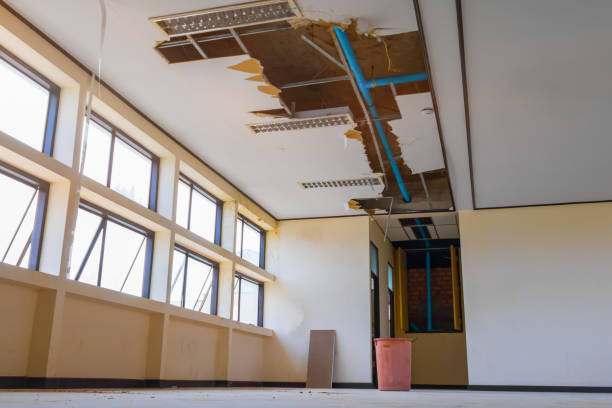 Best Water damage cleanup near me  in Callahan, FL