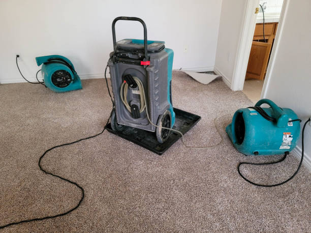 Best Water damage restoration near me  in Callahan, FL