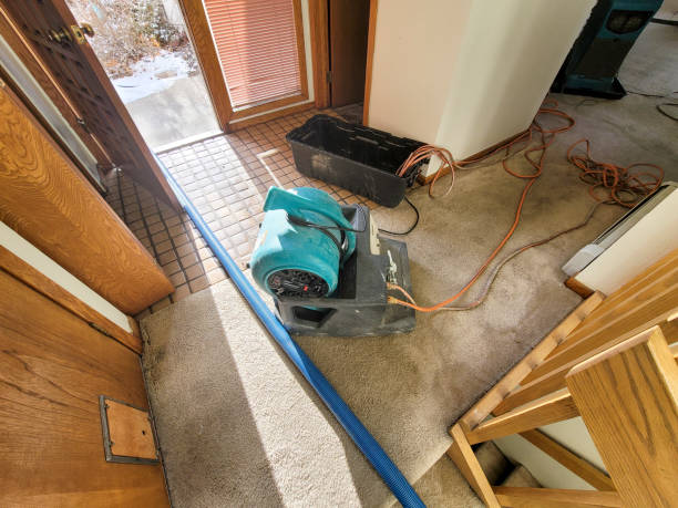 Best Emergency water damage restoration  in Callahan, FL