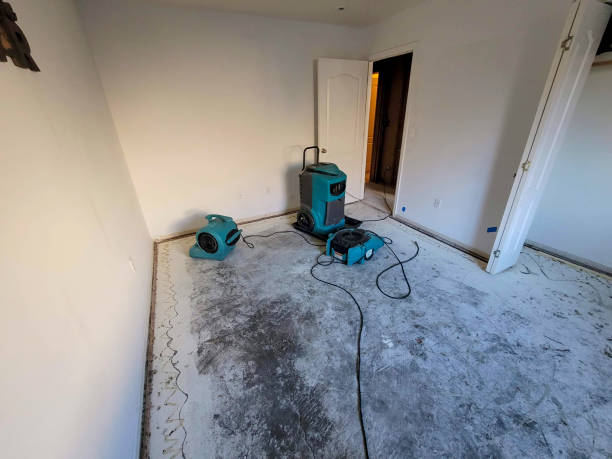 Best Sewage cleanup and water damage restoration  in Callahan, FL
