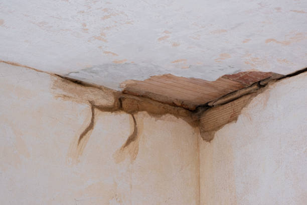Best Carpet water damage restoration  in Callahan, FL
