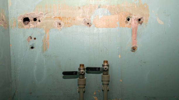 Best Emergency water damage restoration  in Callahan, FL