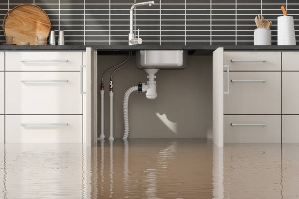 Best Residential water damage restoration  in Callahan, FL