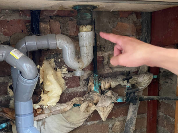 Best Flooded house restoration  in Callahan, FL