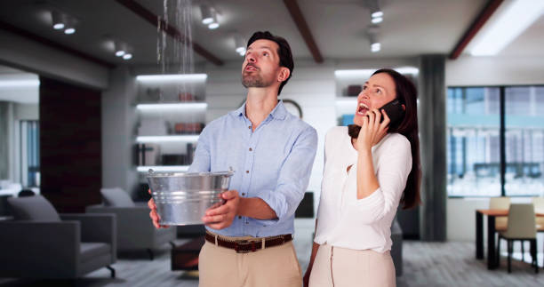 Best Professional water damage repair  in Callahan, FL